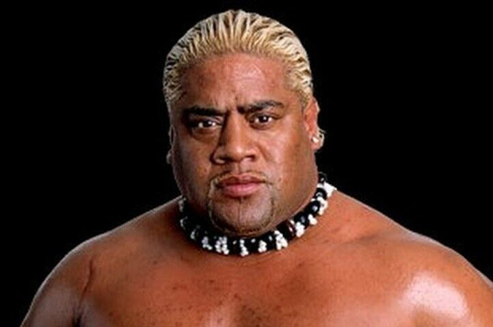  Rikishi